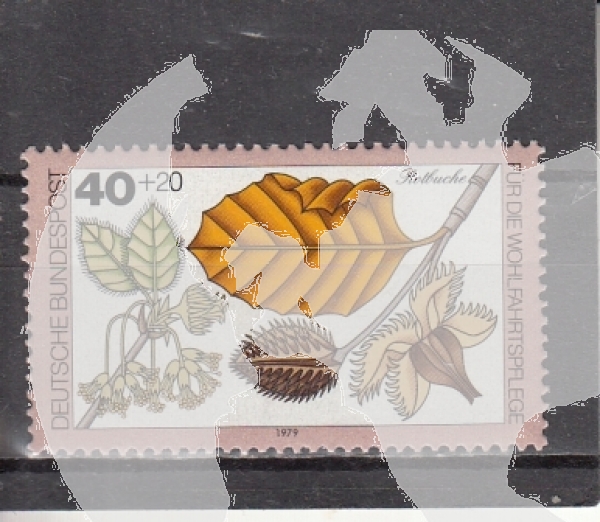 NSR 1024 ** - 1979